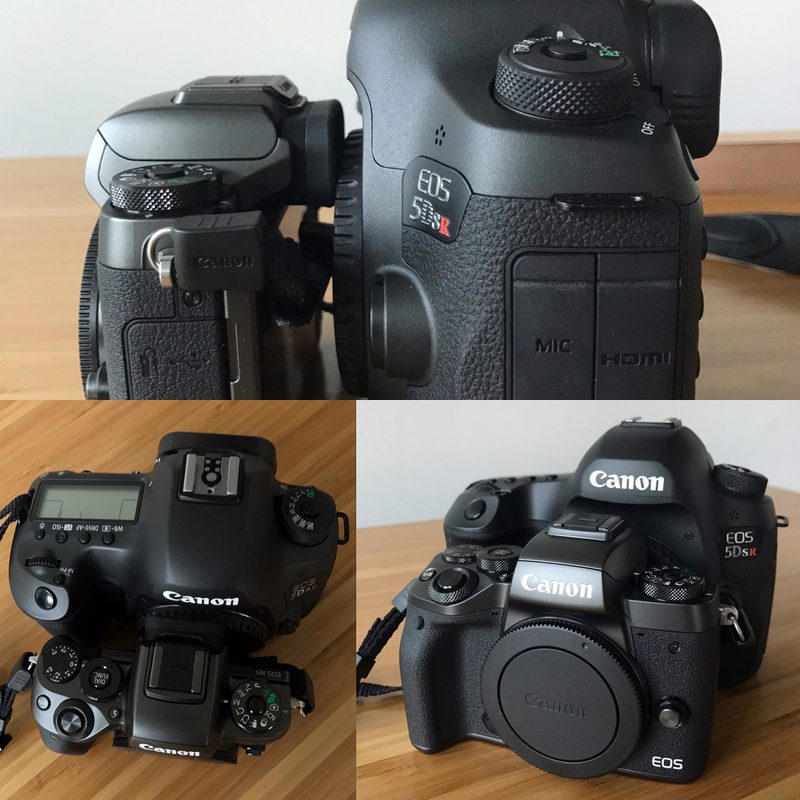 Canon Vs. Sony: Which Is Better?